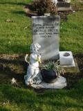 image of grave number 239419